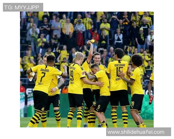 西甲精彩对决多特蒙德大胜热刺全场沸腾绝杀瞬间回顾